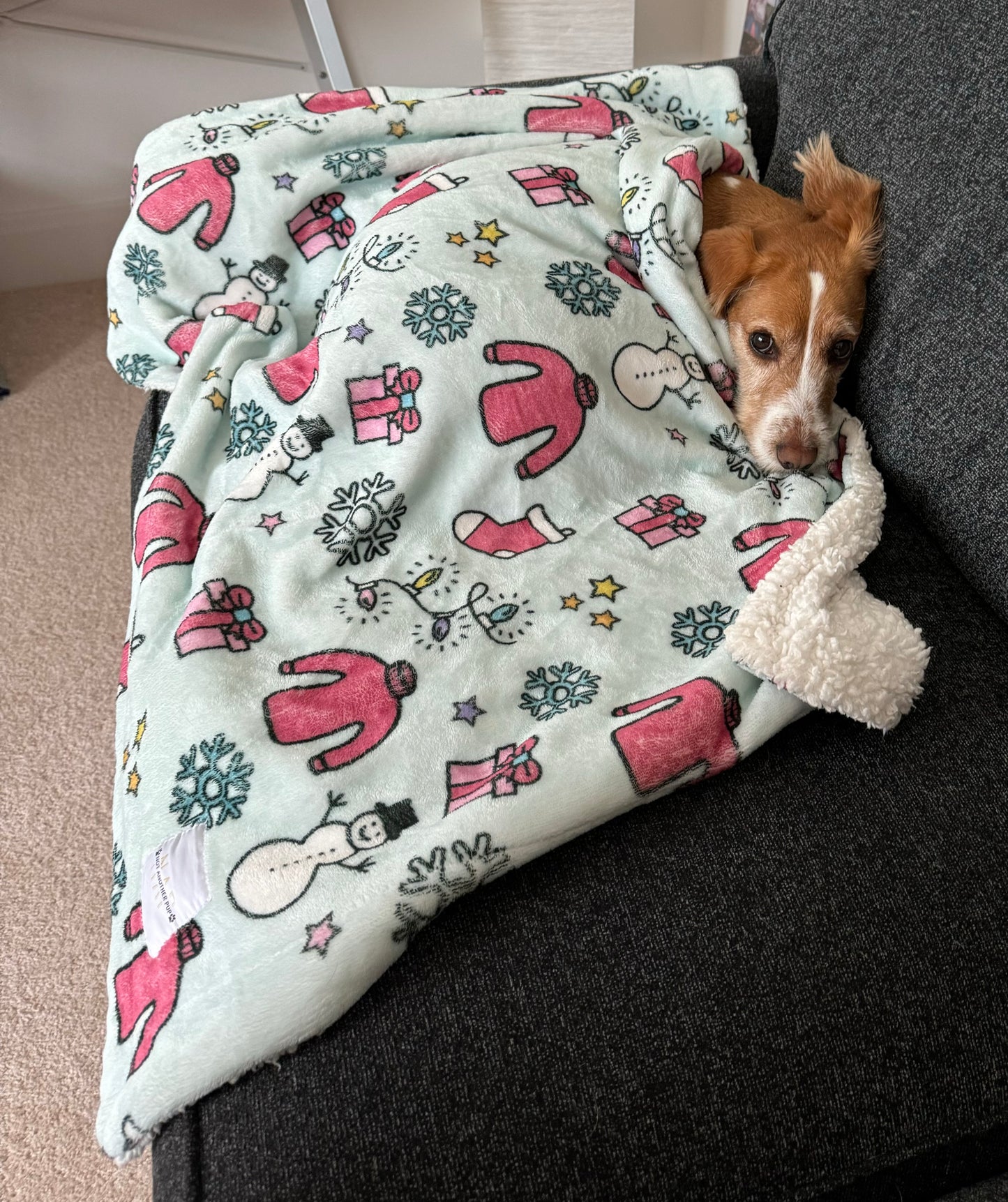 Cosy Christmas Blanket