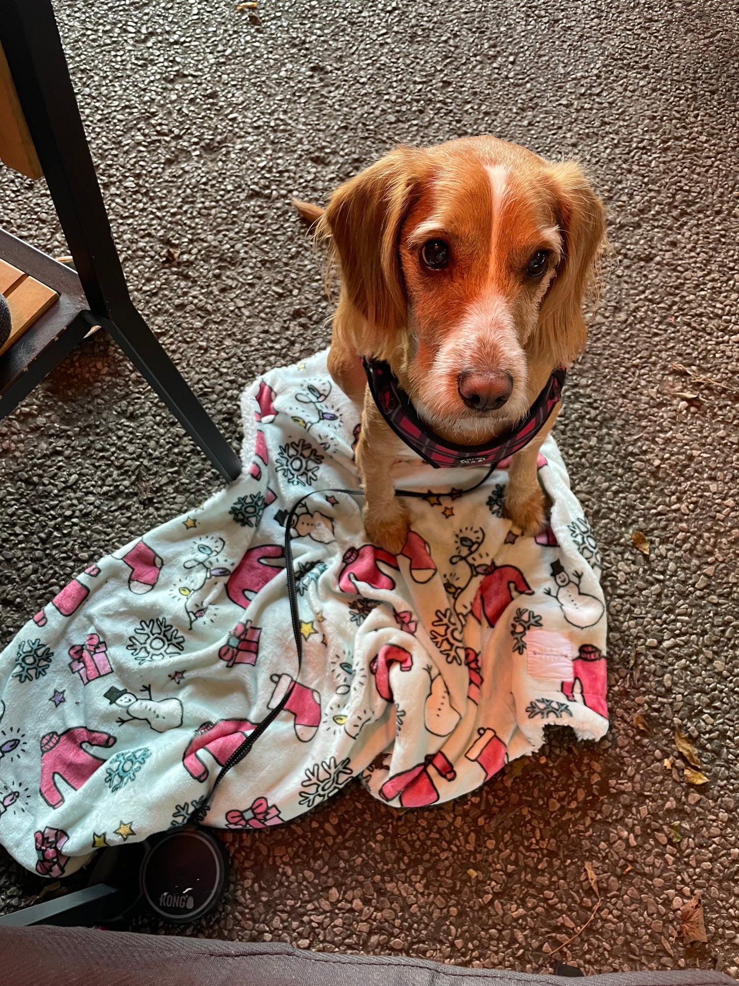 Cosy Christmas Blanket