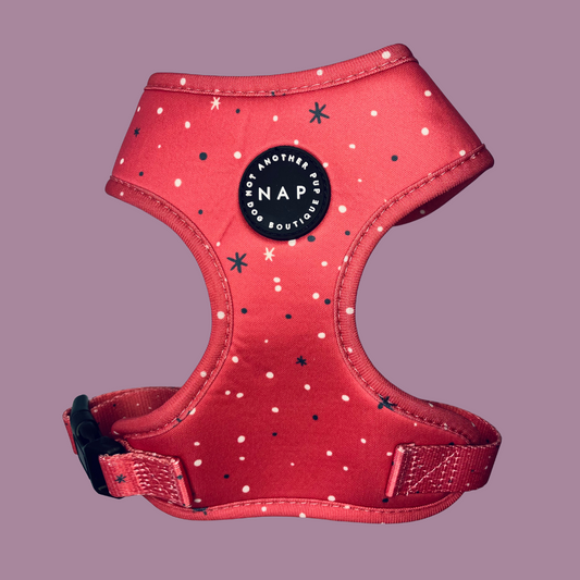 Winter Harness - Red